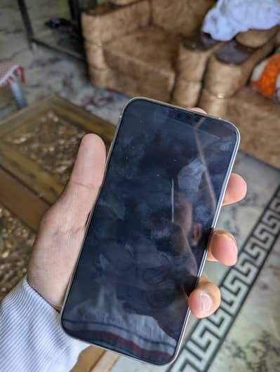 iPhone 13 Pro Max PTA approved