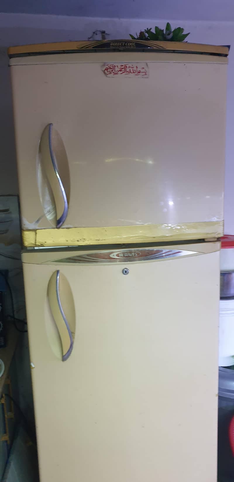 WavesWaves frigfrig 03194405028 0