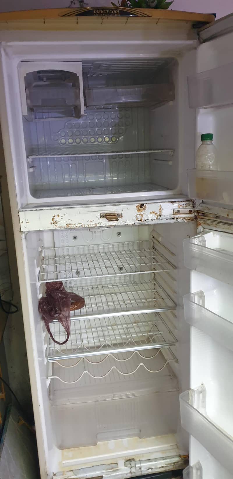 WavesWaves frigfrig 03194405028 1