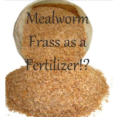 mealworms frass organic fertilizer