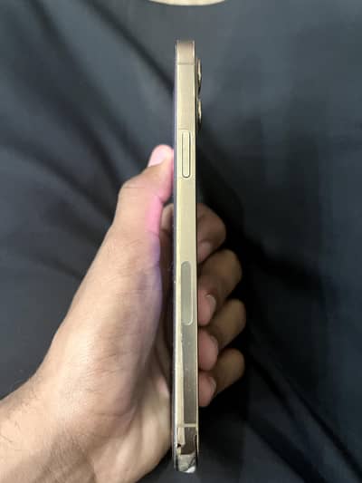 iPhone 12 pro max PTA approved