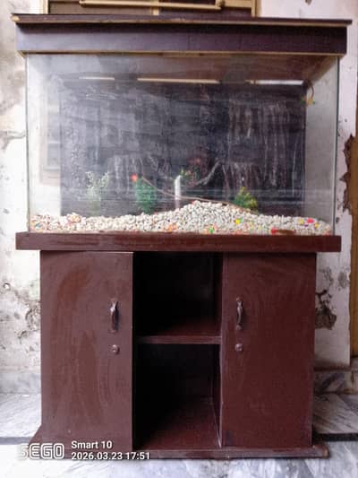 Aquarium for sale