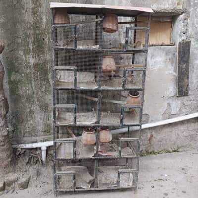 cage. pinjra