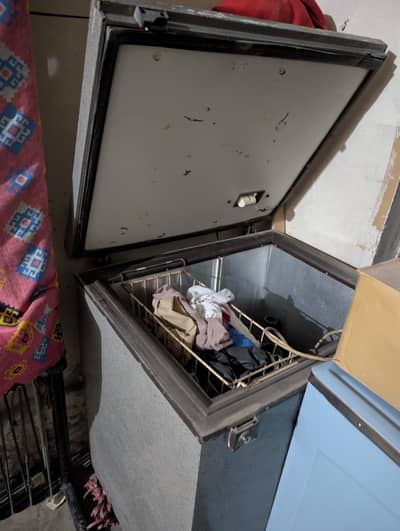 saleing freezer