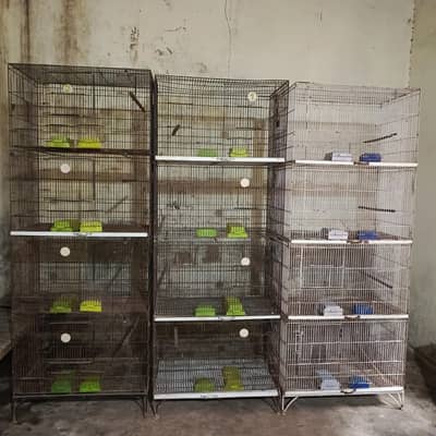 parrots & hen cages birds breeding boxes 0321-7424268