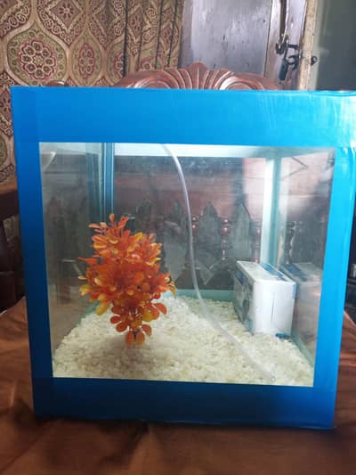 square shape which tank aquarium with oxygen pump
