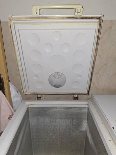 Freezers&Refrigerator