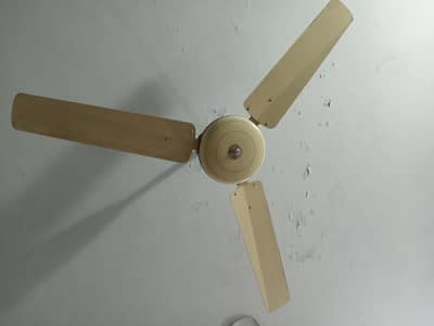 Best condition efficiently working used fan