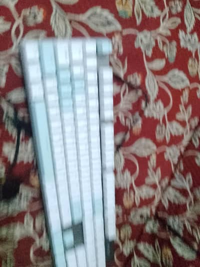 new Phillips original key board with box  mechanical keyboard