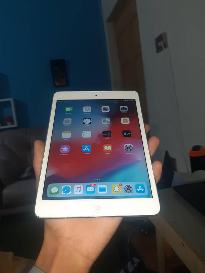 ipadmini2 2