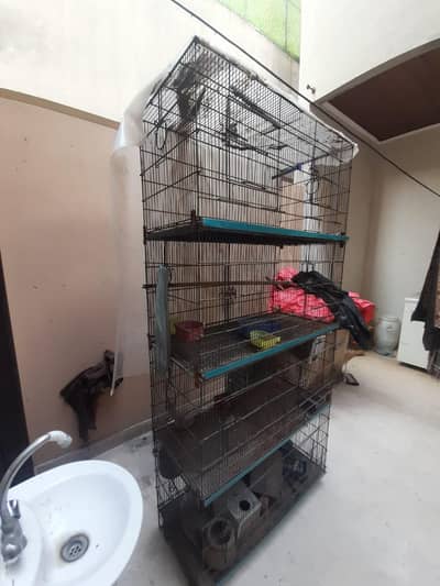 Parrots Cage up for sale