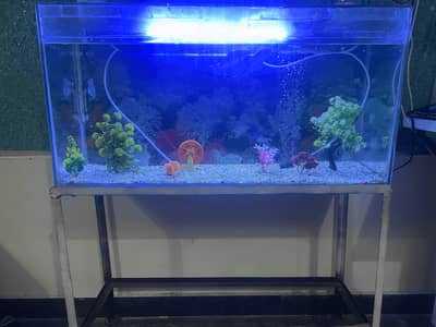 Fish Aquarium (3foot wide, 1 foot width, 2 foot height) 9mm Glass
