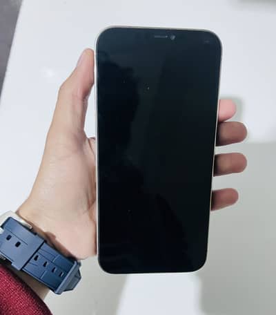 12 Pro Max Factory Unlock