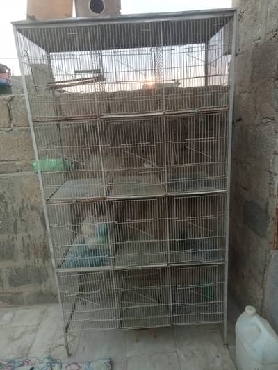 birds cage