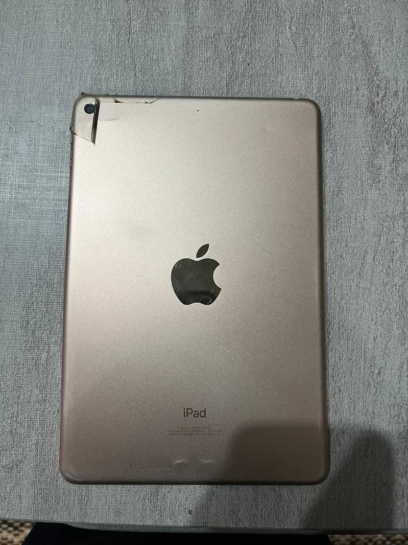 iPad mini 5 3