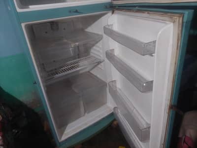 XL  fridge  sale