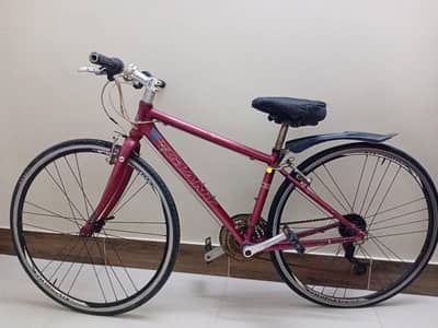 Giant bicycle for sell