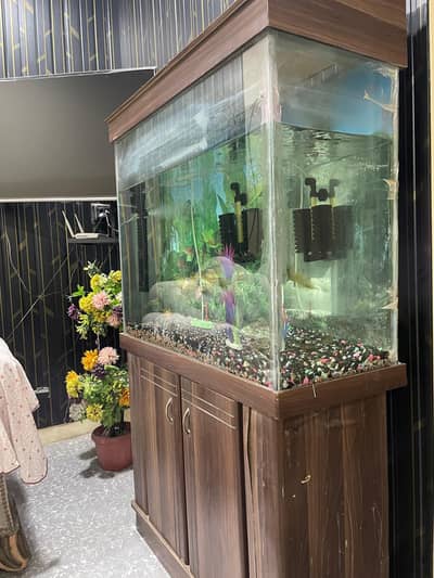 Aquarium with wooden stand