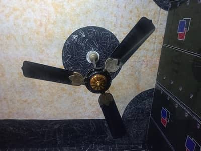 ceilling fans