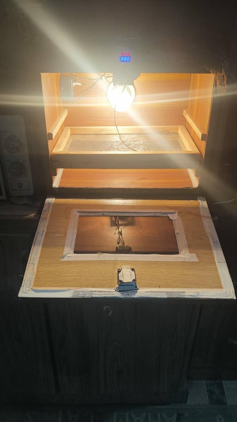 Eggs Incubator/brooder 0