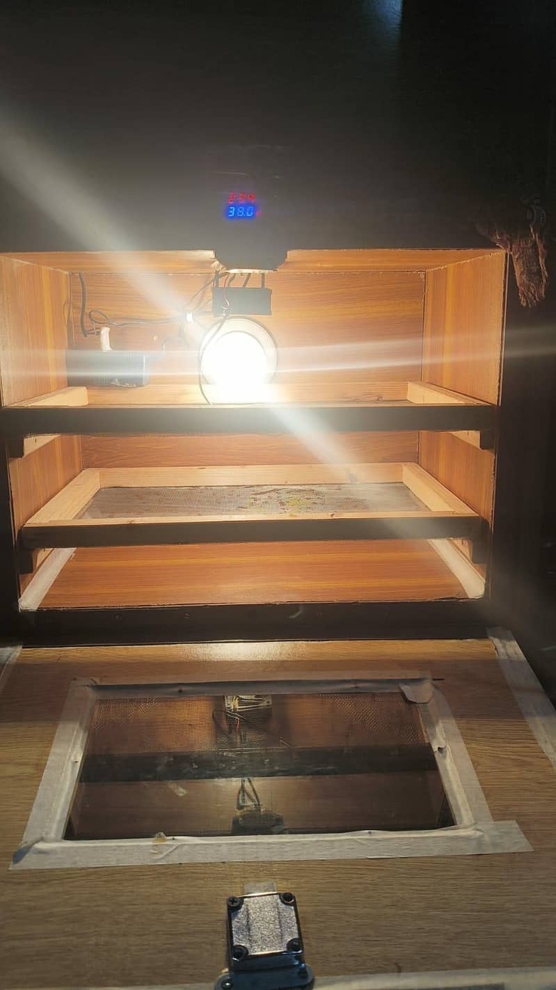 Eggs Incubator/brooder 1