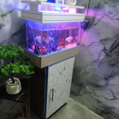 brand new aquarium for salw