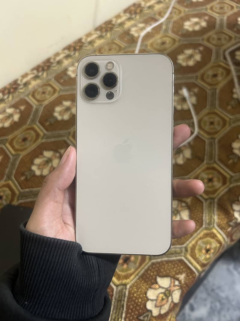 iPhone 12 Pro 0