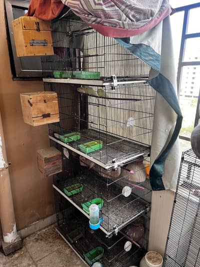 Master Cage along with Birds