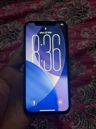 i phone 12 non pta fu  03155269103