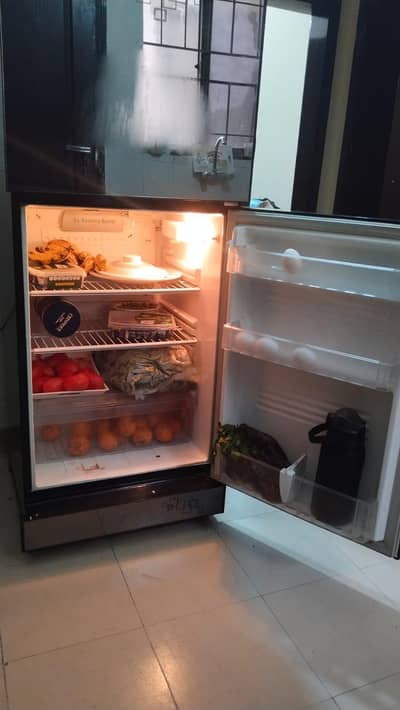 PEL PRGD-120 Glass Door Refrigerator for Sale