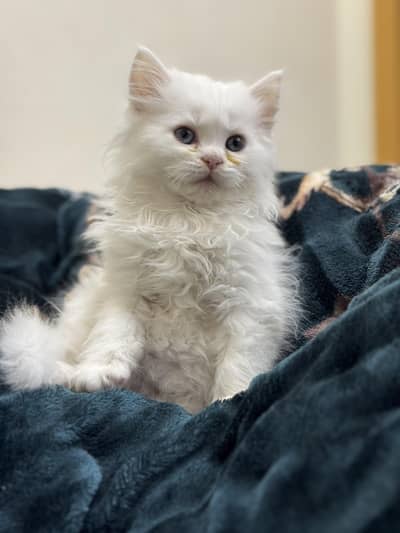 we can talk about price if you think this is high . .