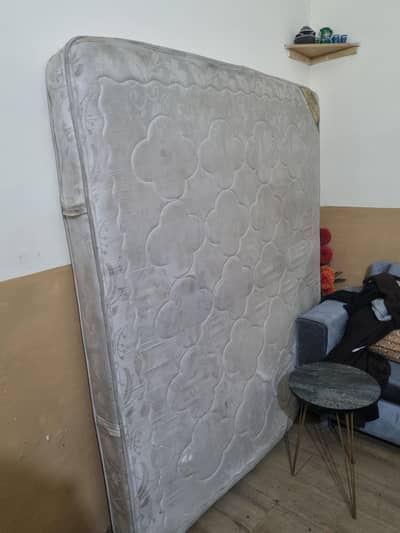 Master  Spring Alpha Mattress 8"