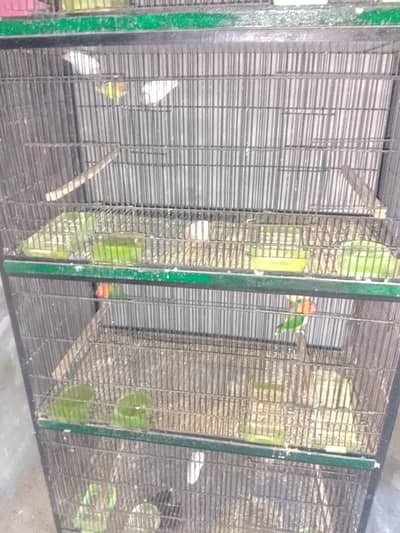 1cage 3by 1.5 4khana Wala  4pair breedar