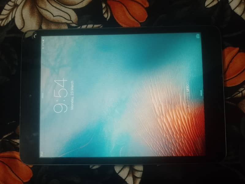iPad mini 1 1