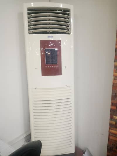 orient 2 tan cabnat for sale