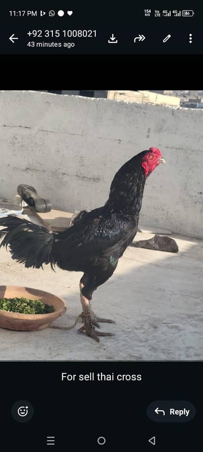 jaga naa hone ki waja se sell kar raha ho