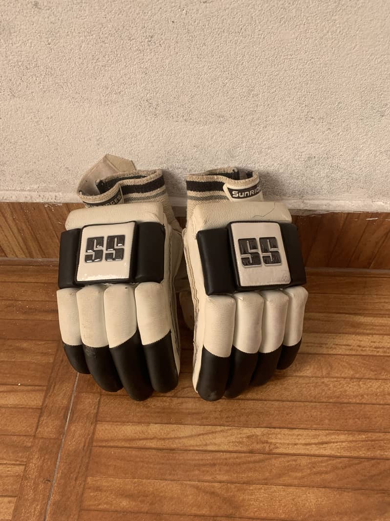 Cricket kit 8