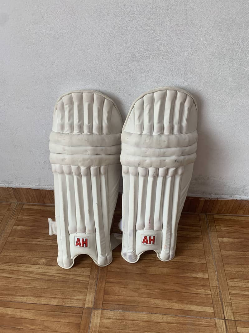 Cricket kit 10