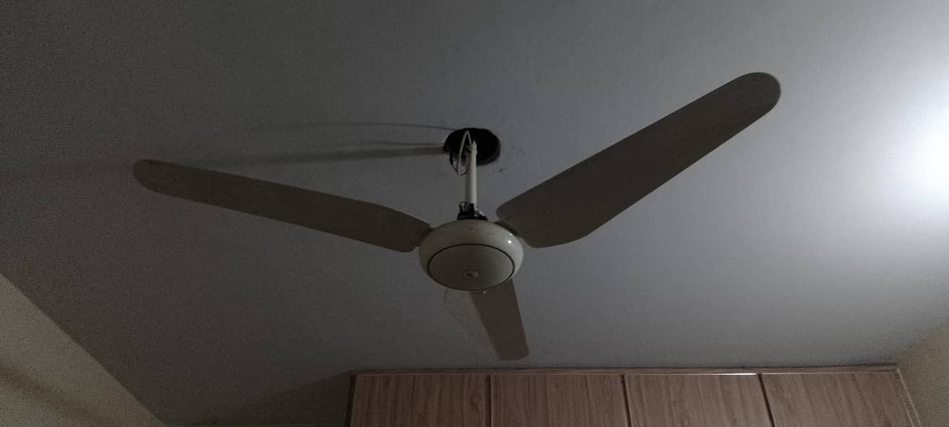 ceiling fan 1