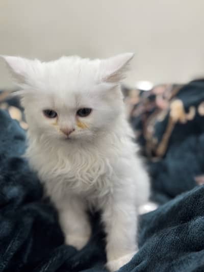 We can talk about price