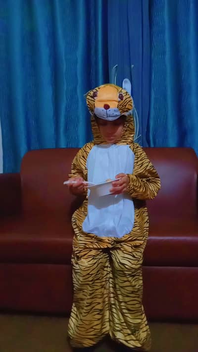 Lion Costume for age(5-7)