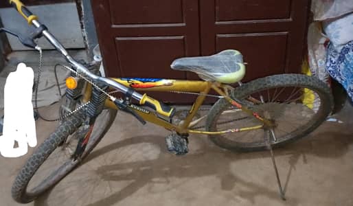 Normal street riding cycle