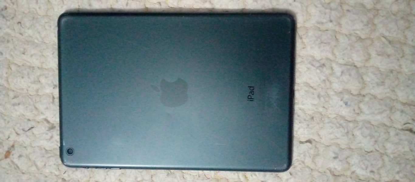 mini iPad 4