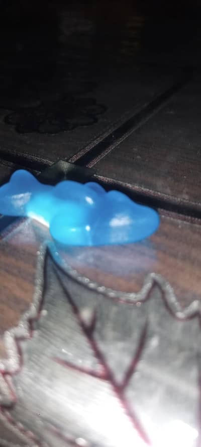 blue and white mini shark