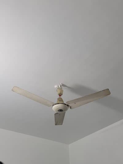 Pak fan pure copper winding