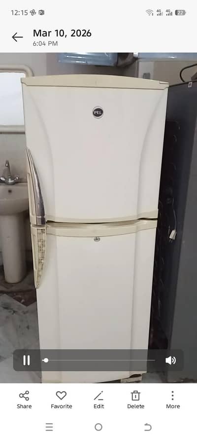 pel frej medium size