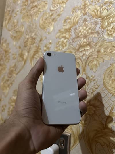 iPhone SE 2020 dual pta approved