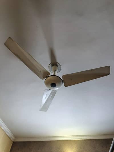 ceiling fans for sell 4500 each