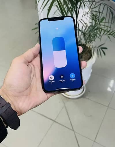 iPhone 12 Pro Max Lush Condition Water-Pack (03347166054)