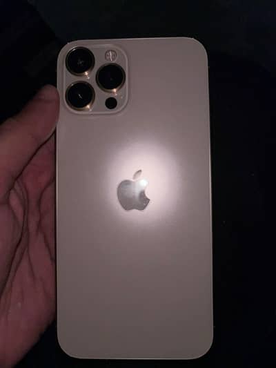 Apple iPhone 12 Pro Max